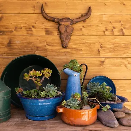 Casa Da Almoinha Frühstückspension