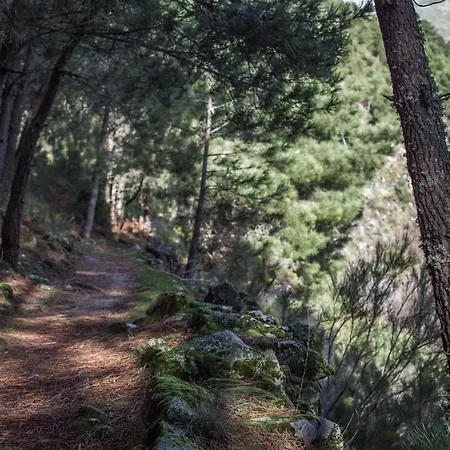 Casa Da Almoinha 3* Unhais Da Serra