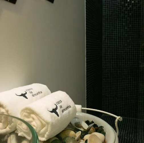 Casa Da Almoinha 住宿加早餐酒店 3*