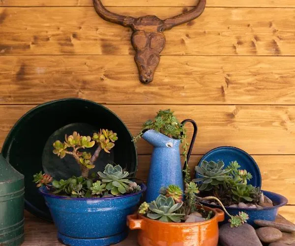 Casa Da Almoinha 住宿加早餐酒店