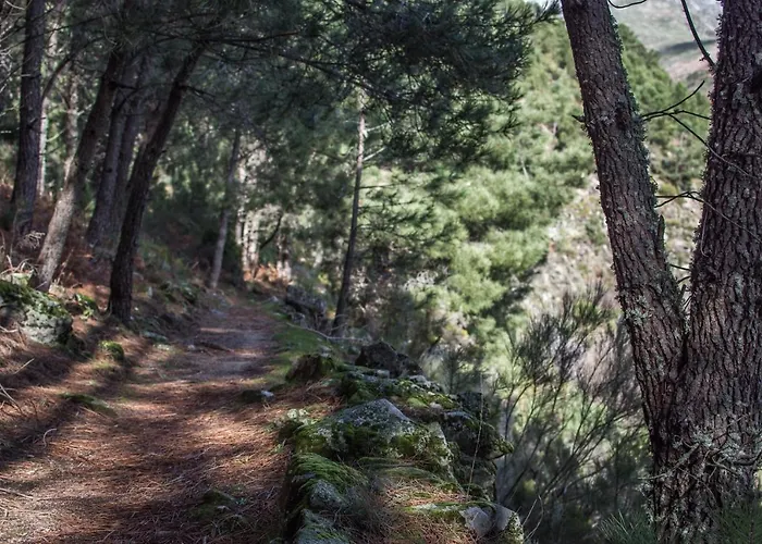 Casa Da Almoinha 3* 安旱斯达塞拉